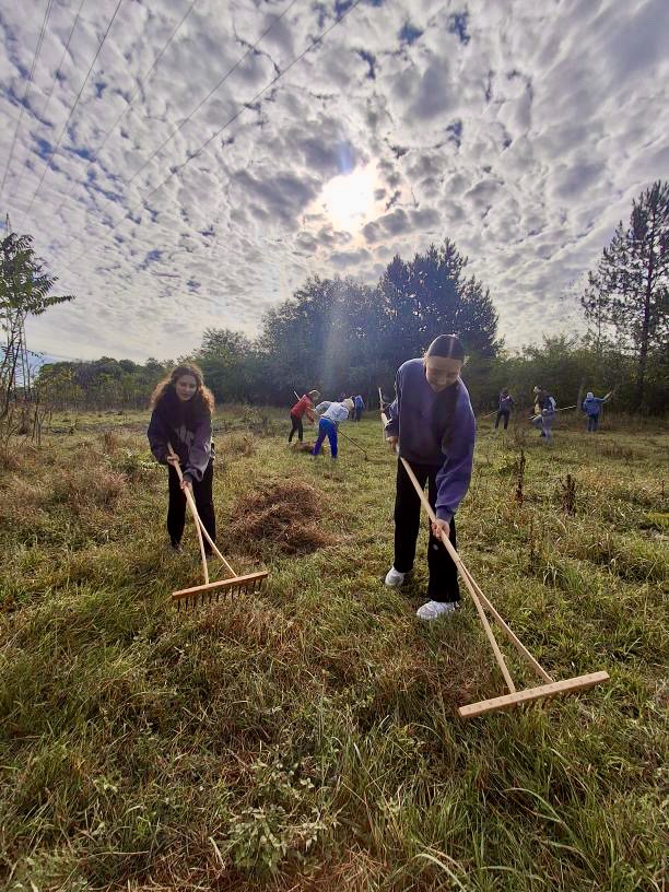 Dobrovoľnícka brigáda – foto 3