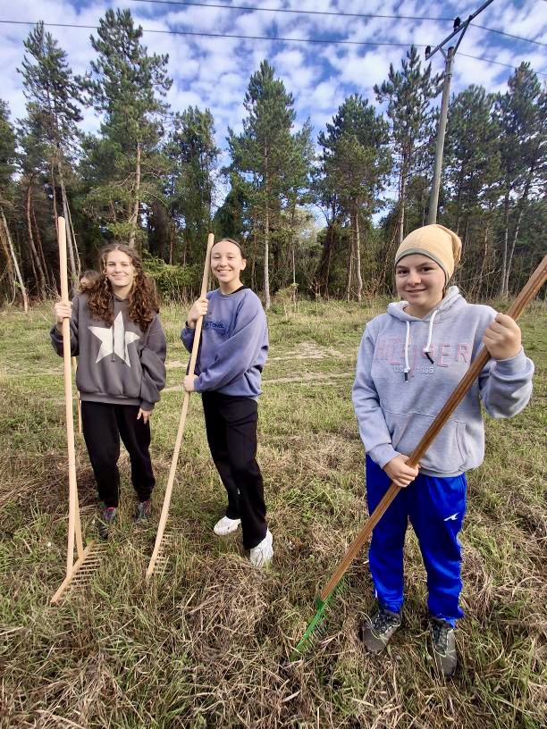 Dobrovoľnícka brigáda – foto 4